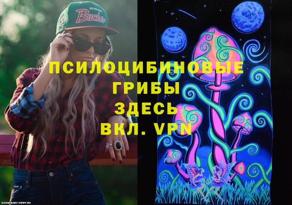 молекула духа Гусиноозёрск