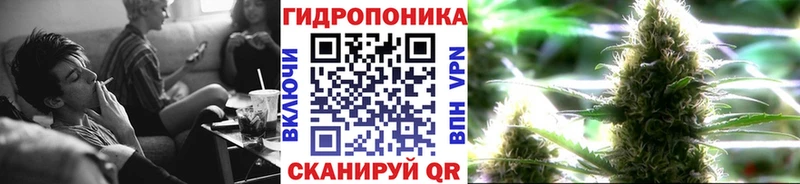 где продают   Заринск  Конопля THC 21% 